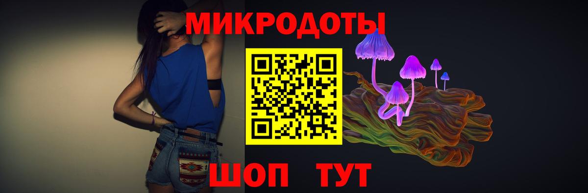 Брянск  Псилоцибиновые грибы прущие грибы  Вход с VPN 